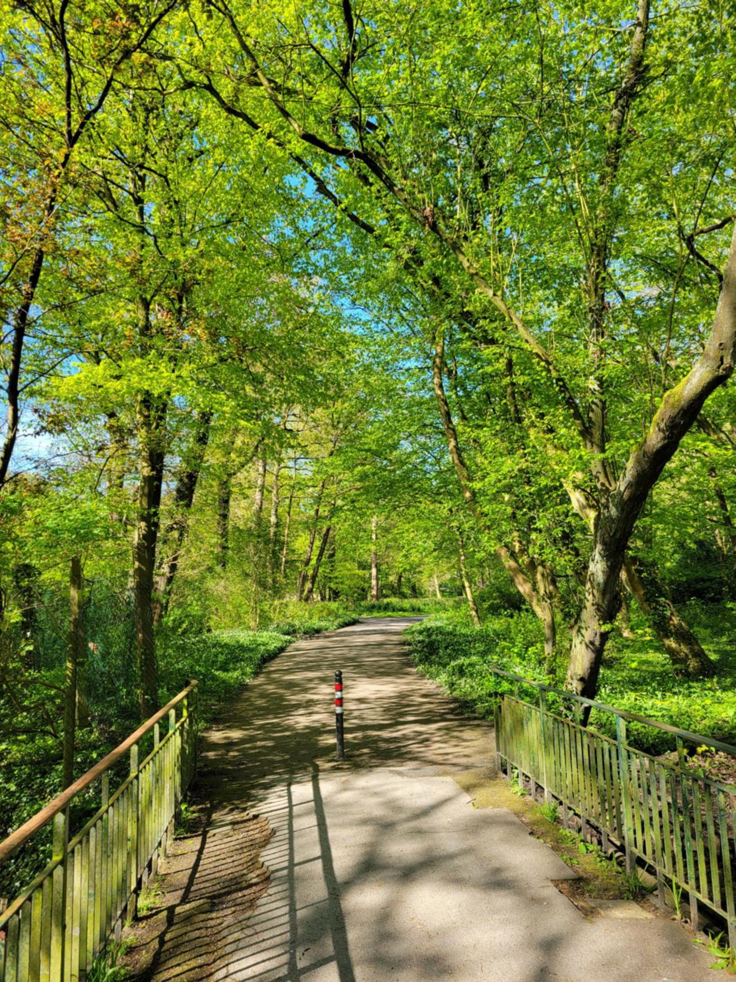 Ferienwohnungen Am Park Вільгельмсгафен Екстер'єр фото